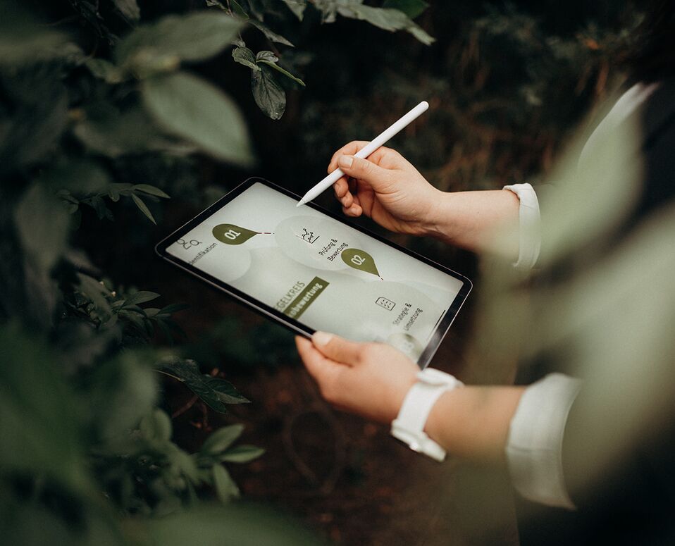 A person uses a stylus on a tablet displaying governance-related content amidst lush peppermint plants.