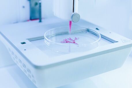 Ein 3D-Drucker erstellt ein rosafarbenes, verzweigtes Muster in einer Petrischale.