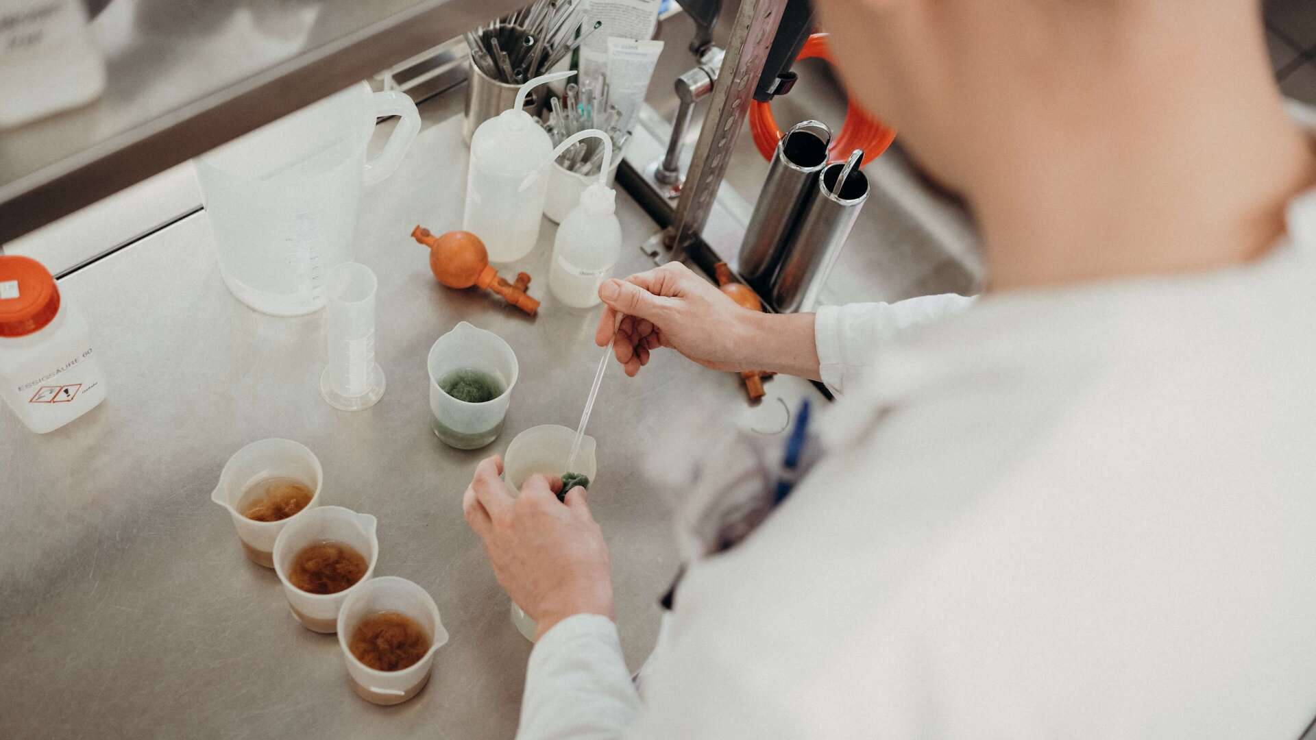 A person in a lab coat conducts a peppermint experiment with beakers and pipettes on a stainless steel counter.
