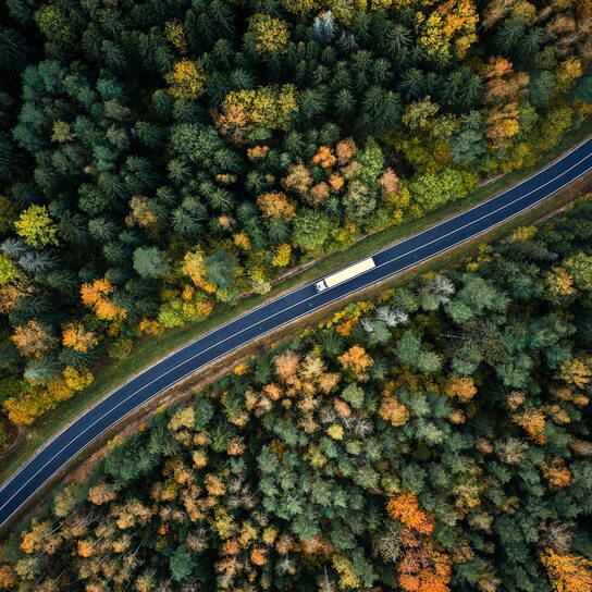 Ein Lastwagen fährt auf einer kurvigen Straße durch einen herbstlichen Wald voller bunter Bäume.