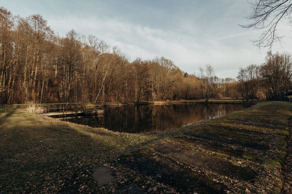 A serene autumn scene features a small pond surrounded by leafless trees under a cloudy sky, capturing a tranquil woodland setting.