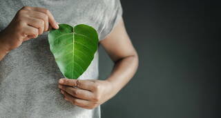 Eine Person in grauem T-Shirt hält ein großes, herzförmiges Blatt als Symbol für Verantwortung in der Natur.